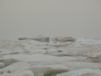 Ice floes, Chukchi Sea, Utqiaġvik, Alaska