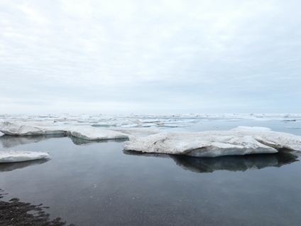 Ice floes, Chukchi Sea, Utqiaġvik, Alaska